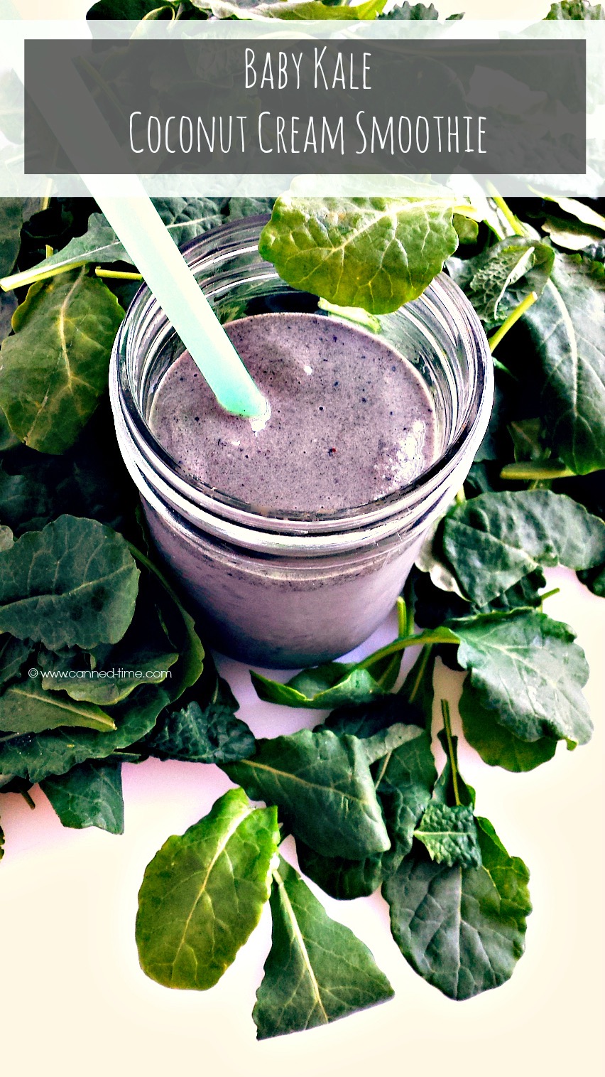 Healthy Kale Smoothies Prepared In 28 Addictive Ways Ritely